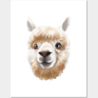 Cute Alpaca Drawing Posters and Art